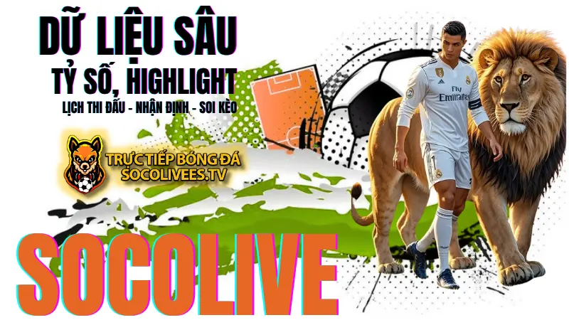 Kho dữ liệu bóng đá toàn diện tại Socolive